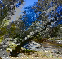 Highfield Farm and Woodland Bush Campsites - Accommodation Georgetown