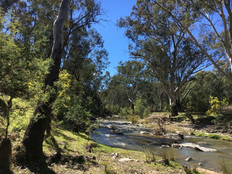Highfield Farm And Woodland Bush Campsites - Accommodation Georgetown 0