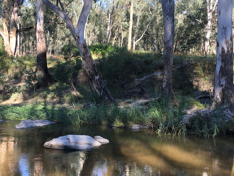 Highfield Farm And Woodland Bush Campsites - Accommodation Georgetown 1