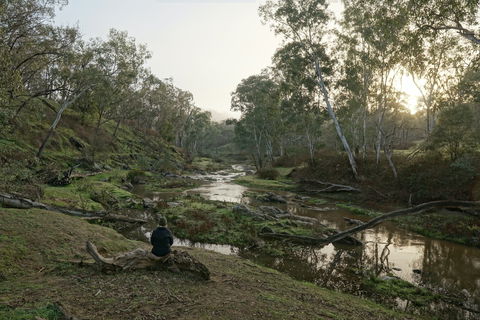 Highfield Farm And Woodland Bush Campsites - Accommodation Georgetown 2