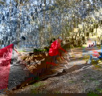 Bungarie Bay campground - Accommodation Georgetown