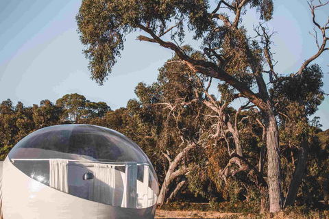 Coonawarra Bubble Tents - Accommodation Georgetown 0