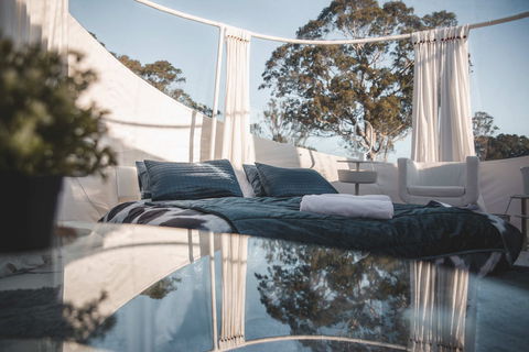 Coonawarra Bubble Tents - Accommodation Georgetown 2