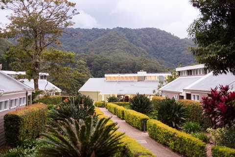 Eden Health Retreat - Accommodation Georgetown 0