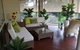 Ellie's Hide-Away At Malua Bay - thumb 1