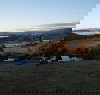 Hamlet Downs Country Accommodation - Accommodation Georgetown