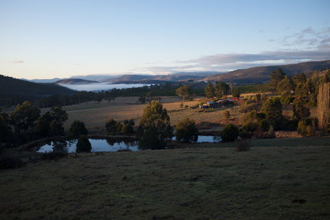 Hamlet Downs Country Accommodation - Accommodation Georgetown 0