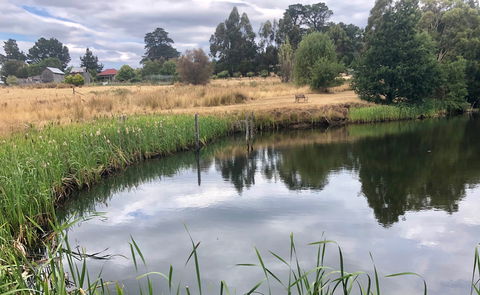 Hamlet Downs Country Accommodation - Accommodation Georgetown 7