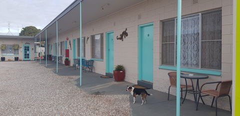 Kadina Village Motel - Accommodation Georgetown 2