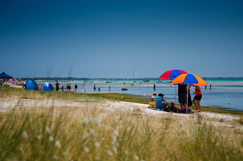 Rosebud Foreshore Camping - Accommodation Georgetown 0