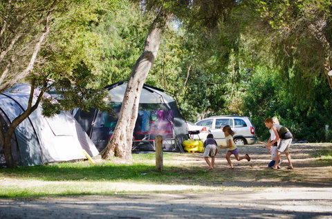 Rosebud Foreshore Camping - Accommodation Georgetown 2