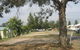 Country Acres Caravan Park - thumb 0