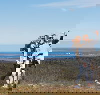 Cowell RV Park - Accommodation Georgetown