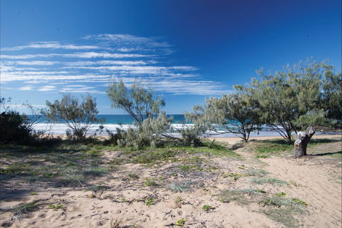Deepwater National Park Camping - Accommodation Georgetown 0