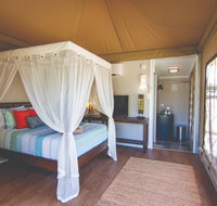 Dubbo Rhino Lodge - Accommodation Georgetown