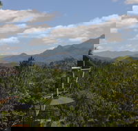 Ecoasis - Accommodation Georgetown