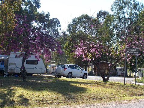 Eidsvold Caravan Park - Accommodation Georgetown 0