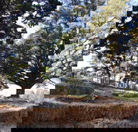 Longwood Retreat - Accommodation Georgetown