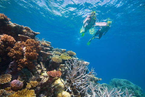 NRMA Cairns Holiday Park - Accommodation Georgetown 0