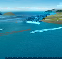 qualia - Accommodation Georgetown