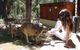 Yelverton Brook Eco Spa Retreat And Conservation Sanctuary - thumb 0