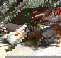 Yelverton Brook Eco Spa Retreat and Conservation Sanctuary - Accommodation Georgetown