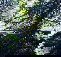 Aldgate Valley Bed and Breakfast - Accommodation Georgetown