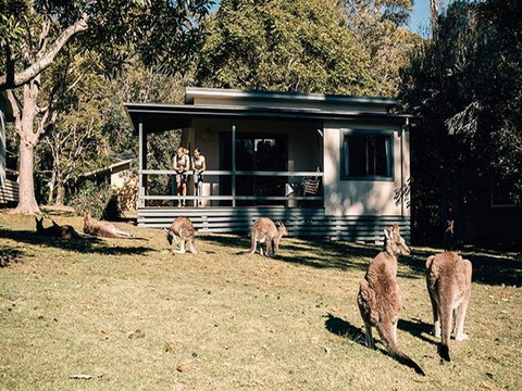 Depot Beach Cabins - Accommodation Georgetown 0