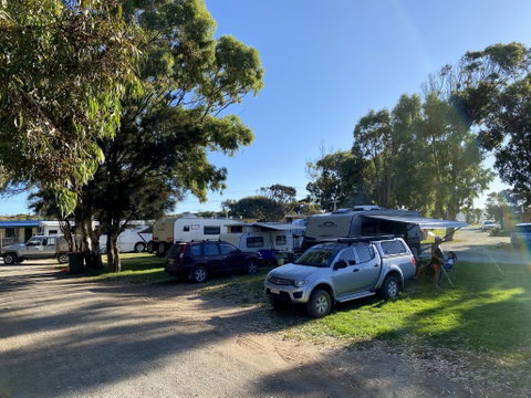 Elliston Caravan Park - Accommodation Georgetown 1