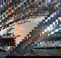 Kestrel Nest EcoHut - Accommodation Georgetown