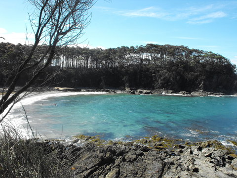 Lilli Pilli Beach Bed And Breakfast - Accommodation Georgetown 2