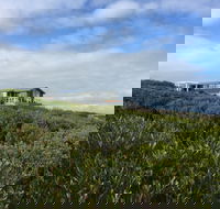 Taraki Lodge - Accommodation Georgetown