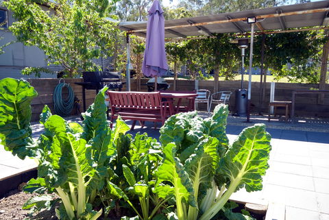 The Jabiru Motel - Accommodation Georgetown 2