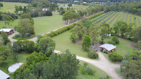 Twin Trees - Accommodation Georgetown 1