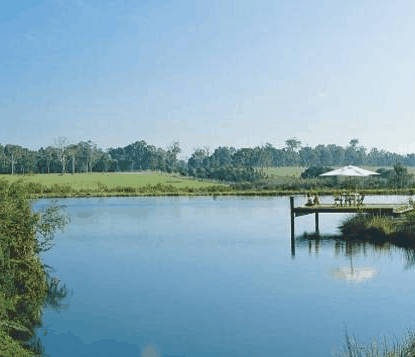 Forest Rise Eco Retreat - Accommodation Georgetown