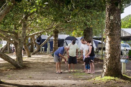 Massey Greene Holiday Park - Accommodation Georgetown 5