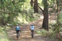 Craigmhor Mountain Retreat - Accommodation Georgetown 2