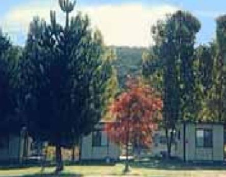 Anglers Reach Caravan Park - Accommodation Georgetown 0
