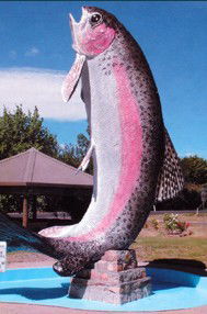Anglers Reach Caravan Park - Accommodation Georgetown 3