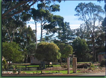 Kalgan River Chalets And Caravan Park - Accommodation Georgetown 0