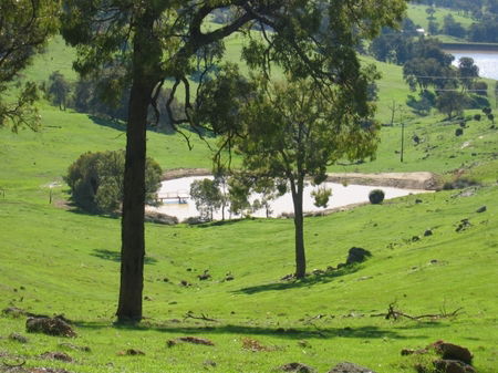 Vista Ridge Estate - Top Paddock Cottage - Accommodation Georgetown 3