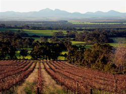 The Sleeping Lady Private Retreat - Accommodation Georgetown 5