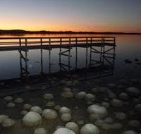 Lake Clifton Caravan Park - Accommodation Georgetown