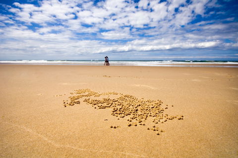 BIG4 Nambucca Beach Holiday Park - Accommodation Georgetown 1