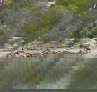 Boondi Rock Camp at Goldfields Woodlands National Park - Accommodation Georgetown