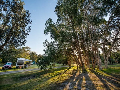 Delicate Campground - Accommodation Georgetown 0
