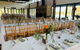 Eight Willows Retreat - thumb 2