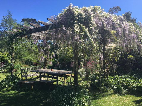 Hawthorne Cottage: Blackheath - Accommodation Georgetown 2