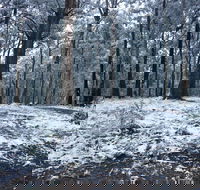 High Peaks Cottages - Accommodation Georgetown