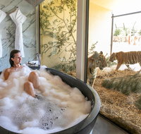 Jamala Wildlife Lodge - Accommodation Georgetown
